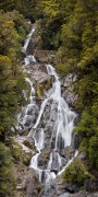 NEW ZEALAND Fantail Falls